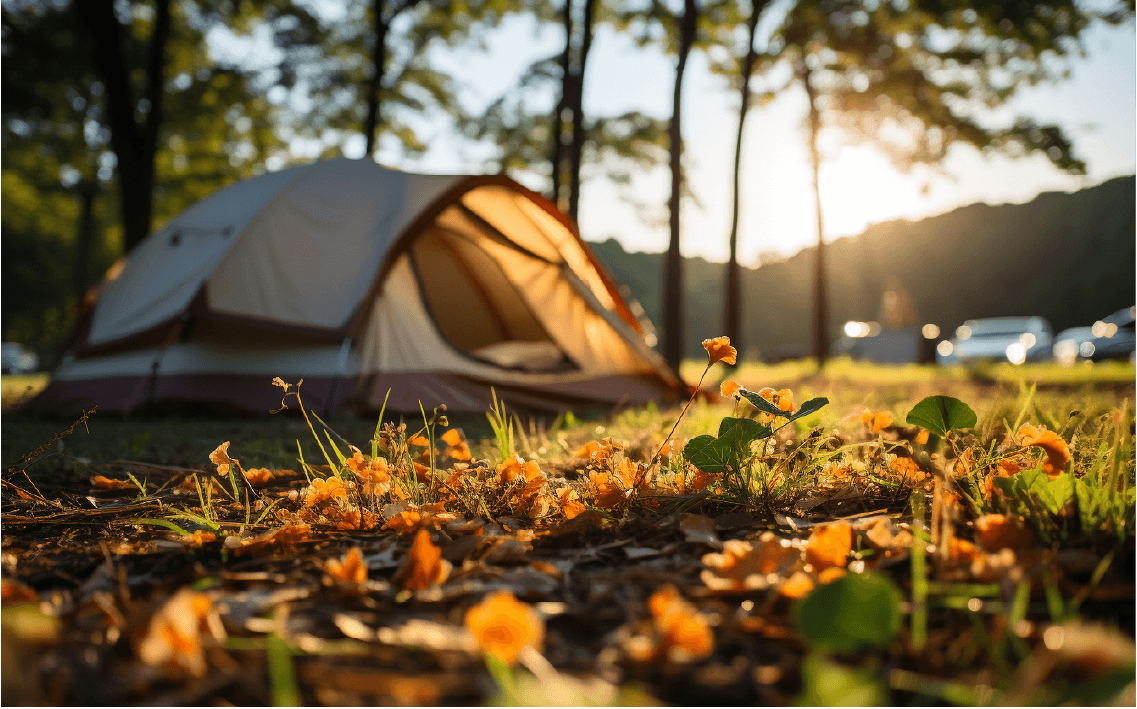 Fun Fall Camping Activities for the Whole Family