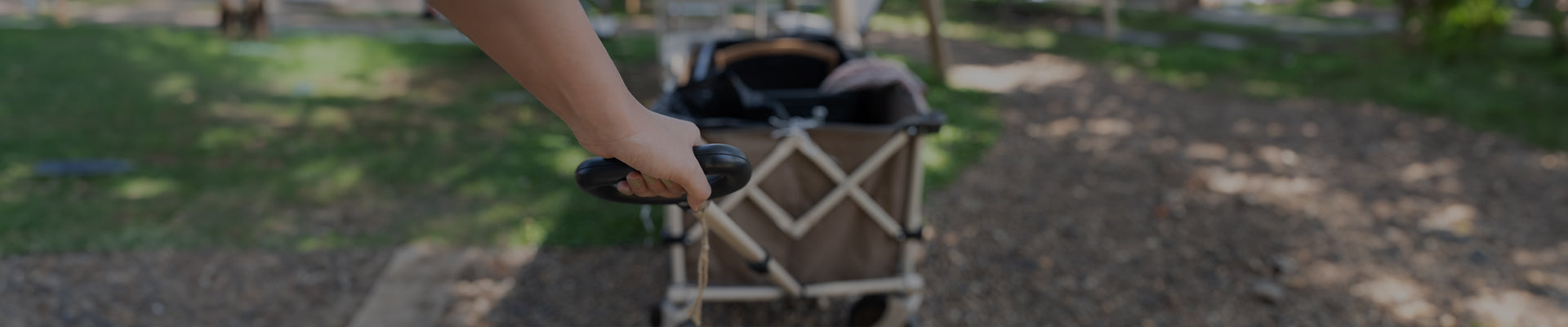Folding Wagon