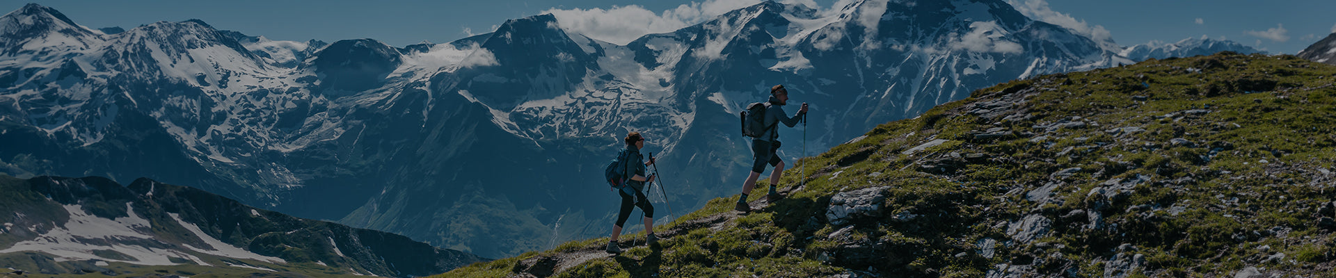 Trekking Poles