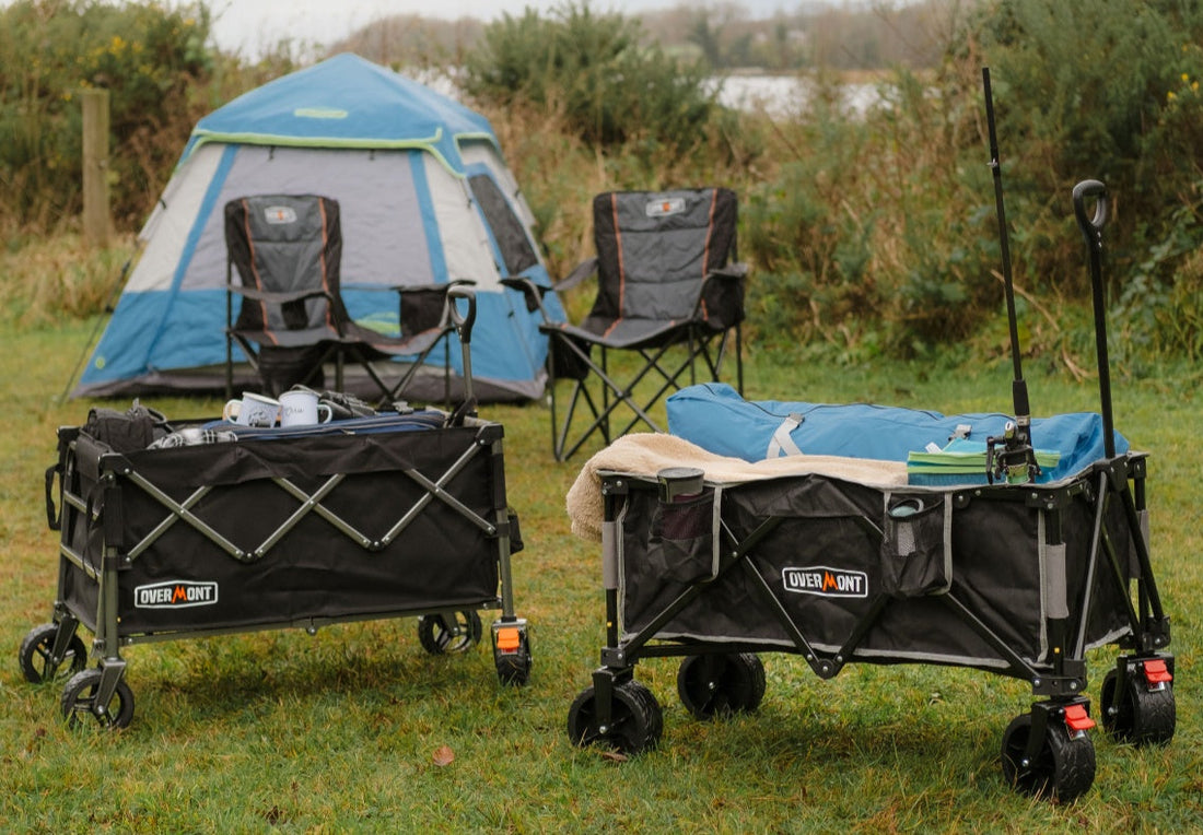 World Forest Day: Camping and Outdoor Living to Reconnect You with Nature