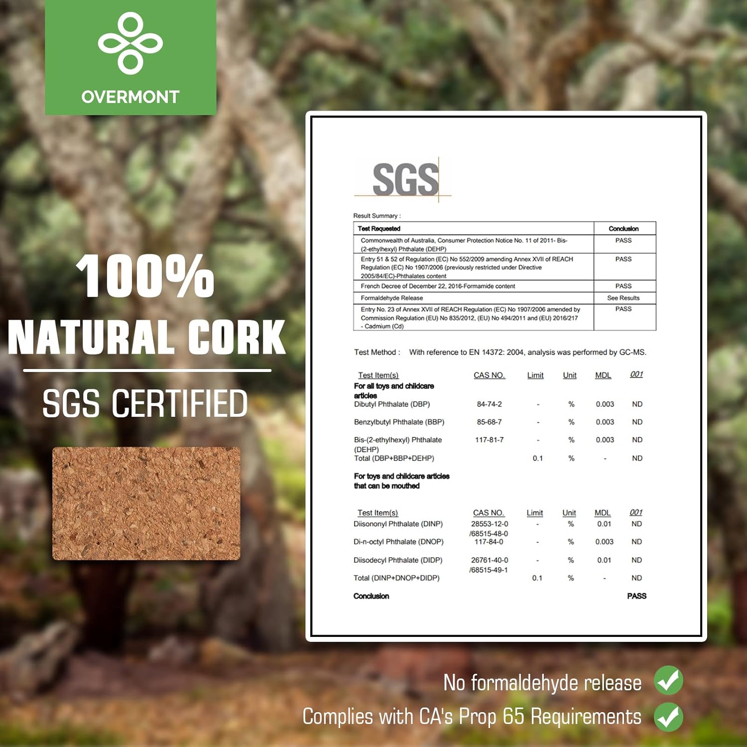 Overmont Cork Yoga Blocks 2 pack with 8ft Strap Set