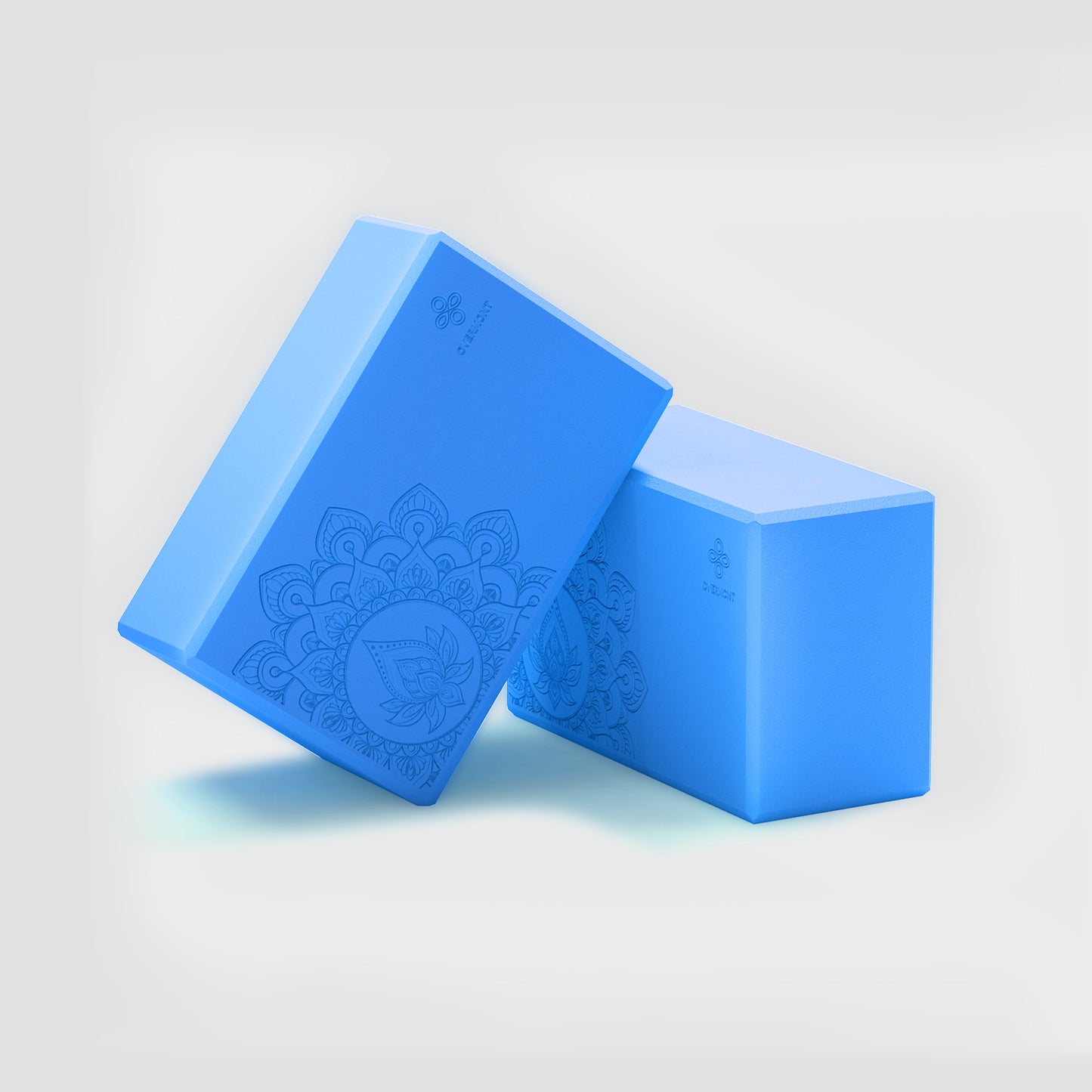 1 pair blue yoga blocks
